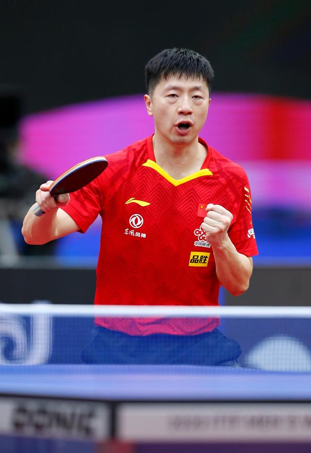 但从观赏性 但从观赏性